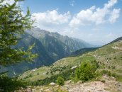 Almageller H�henweg  Hofer�lpji oben, weiter unten geht es nach Heimischgartu.